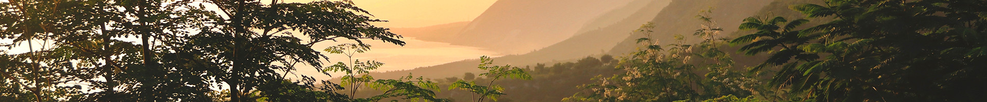 https://dev.norarealfood.com/modules/iqithtmlandbanners/uploads/images/6a26c2178912e.jpg